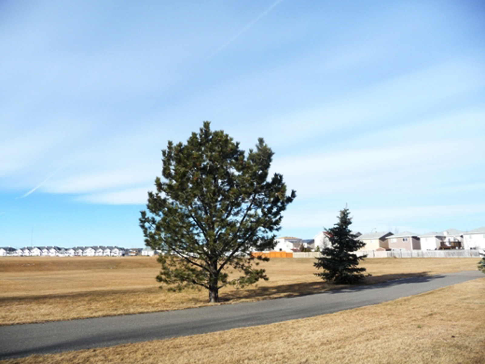 Ojibwa Park City of Lethbridge