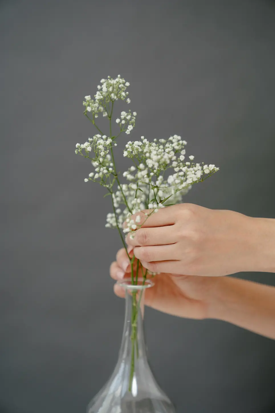 baby breath flowers in vase