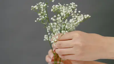 baby breath flowers in vase
