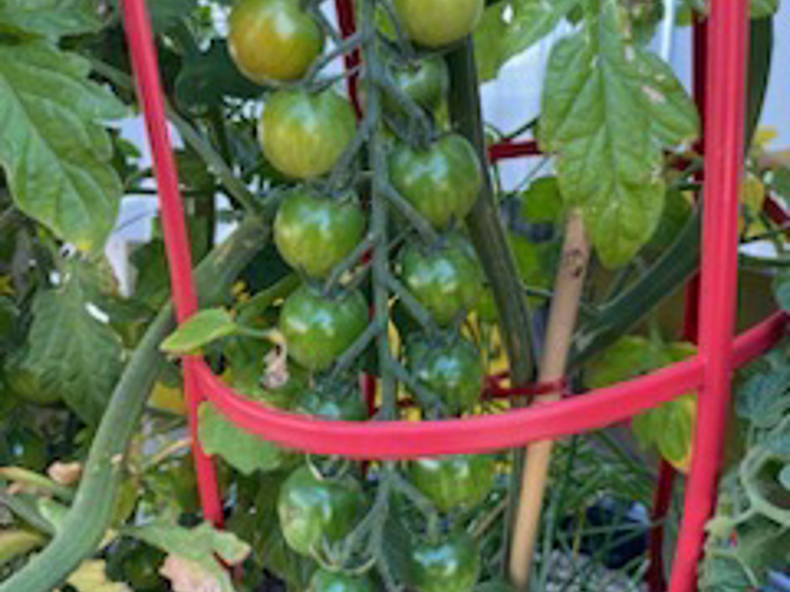 Yard Waste Sites closing for the season City of Lethbridge