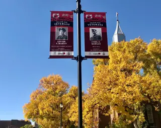 Remembrance Day Light Banners Downtown Fall 
