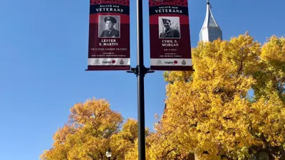 Remembrance Day Light Banners Downtown Fall