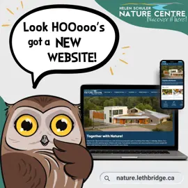 Helen Schuler Nature Centre new website owl graphic