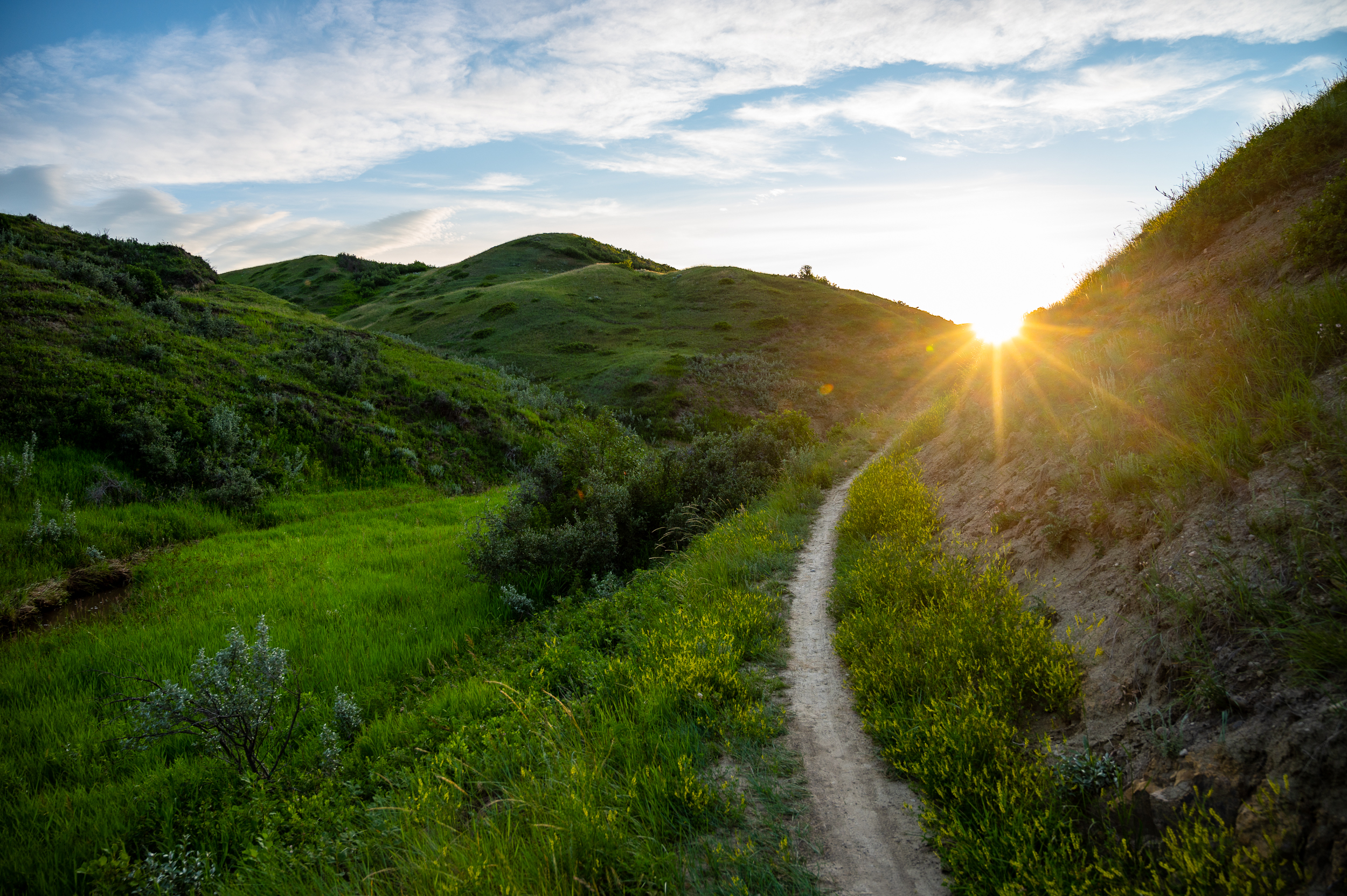 Image of Help us Preserve the Coulees
