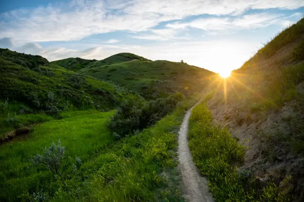 Green Coulee Trail Sunset Blue Sky