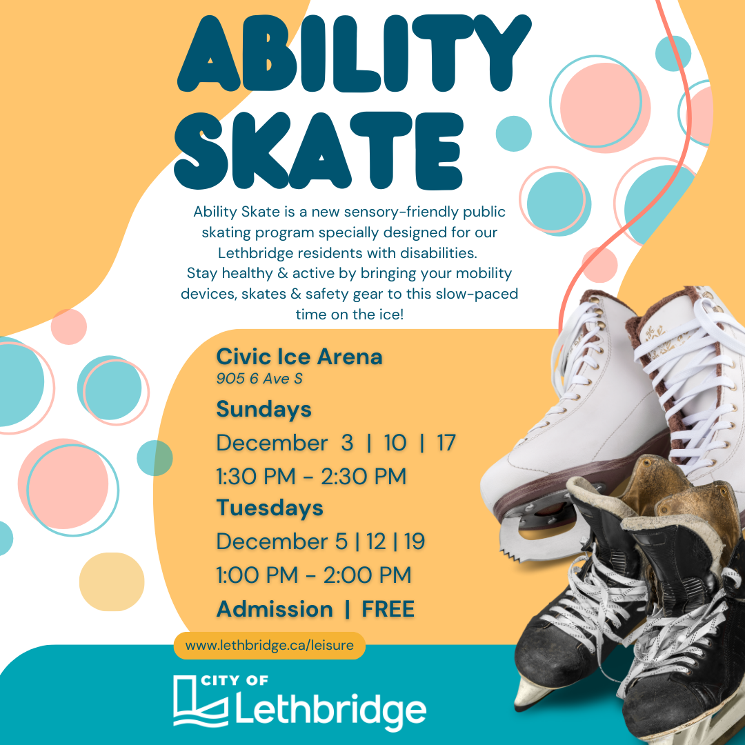 Image of New Ability Skate now available