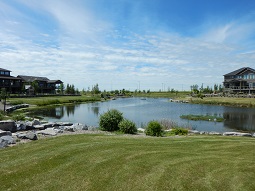 Image of Prairie Arbour Park stream repairs