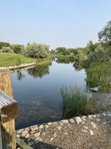 Nicholas Sheran park pond summer