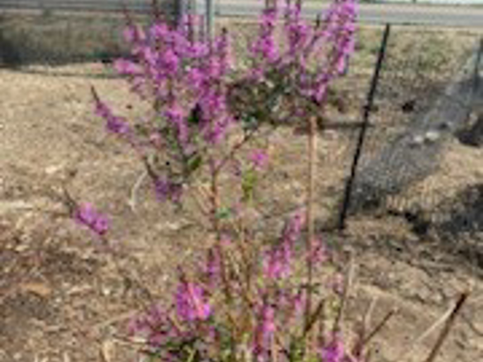 Yard Waste Sites closing for the season City of Lethbridge