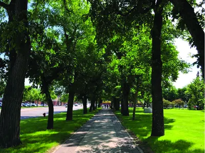 Galt Gardens Park Pathway Summer Trees