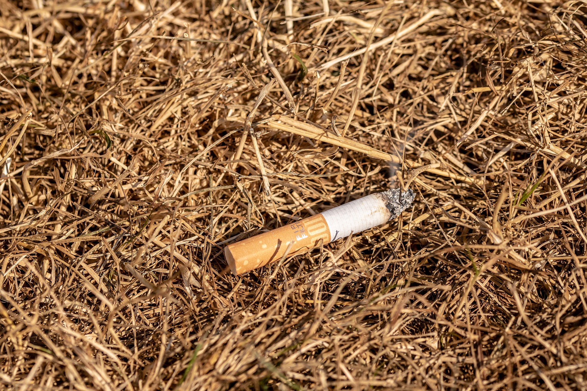 Image of Household Wildfire Emergency Preparedness