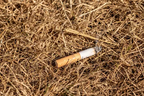 Cigarette in grass Fire Hazard