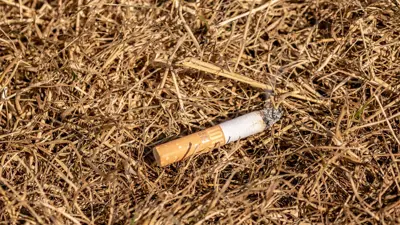 Cigarette in grass Fire Hazard