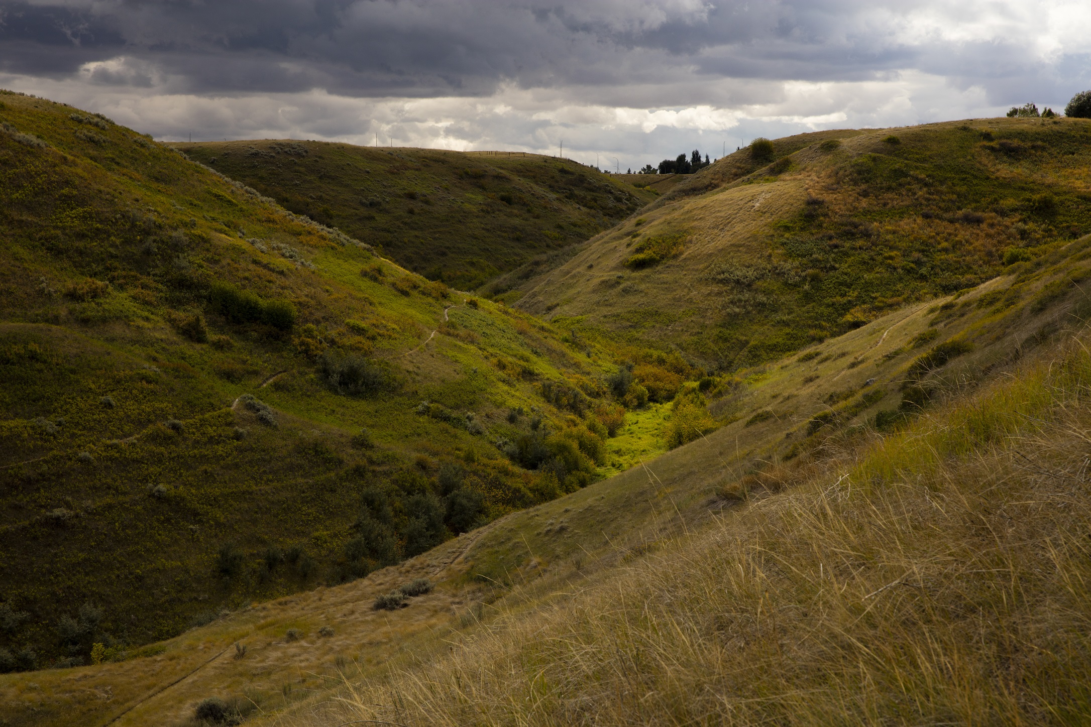 River Valley Coulees