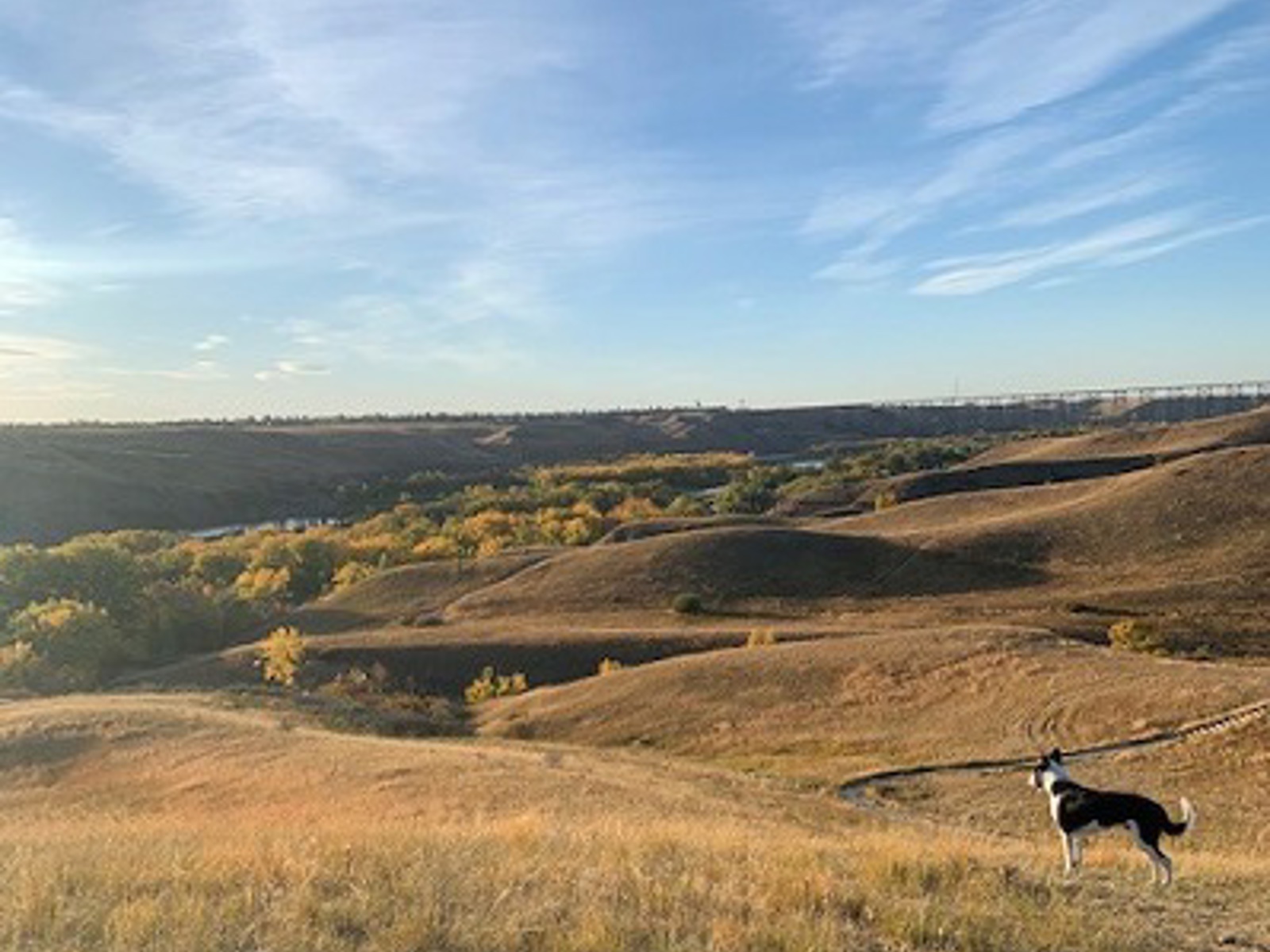 Scenic Drive Dog Run City of Lethbridge