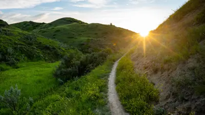 sunset on green summer coulee trail