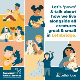 Animal services bylaw social