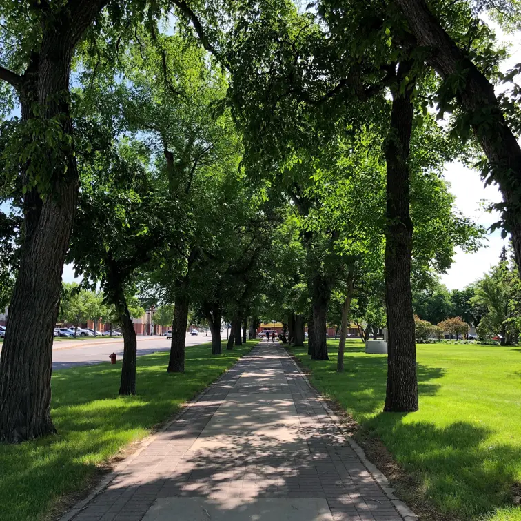 Tree covered downtown Galt Park walking path