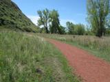 Path to the south end of the Wilderness Park, 2013. Photo: T. Purkis