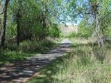 Path to the Oldman River, 2013. Photo T. Purkis