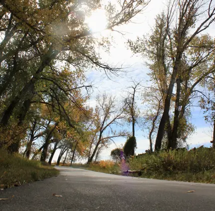 River Bottom Trail System Fall