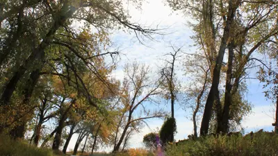 River Bottom Trail System Fall