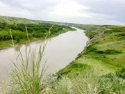 Oldman River Bottom Green Coulee