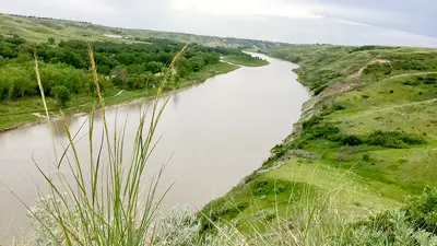 Oldman River Bottom Green Coulee