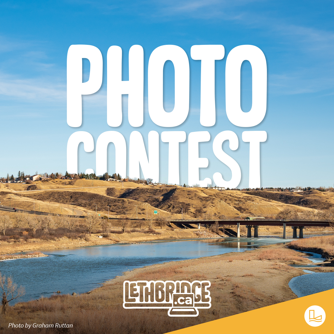 Image of Shutter Success! Photo contest winners