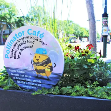 Pollinator Cafe sign 