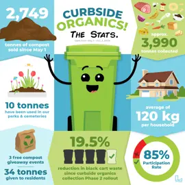Green Cart Infographic Six Months Stats